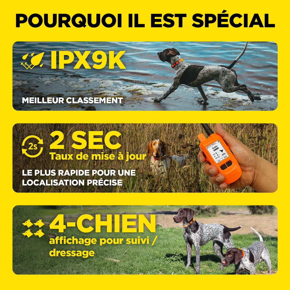 Neden özel: IPX9K, 2 saniye güncelleme, 4 köpek ekranı